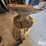 anvil-image-2