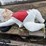 #9000-•-happy-chef-statue-(elk-river,-mn)-image-1