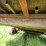 paul-308-4000-portable-manual-livestock-scale-image-15