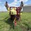 hardi-commander-plus-image-2