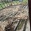 #9574-•-16'-hay-wagon-image-9