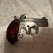 wolfgram-estate-auction-image-5