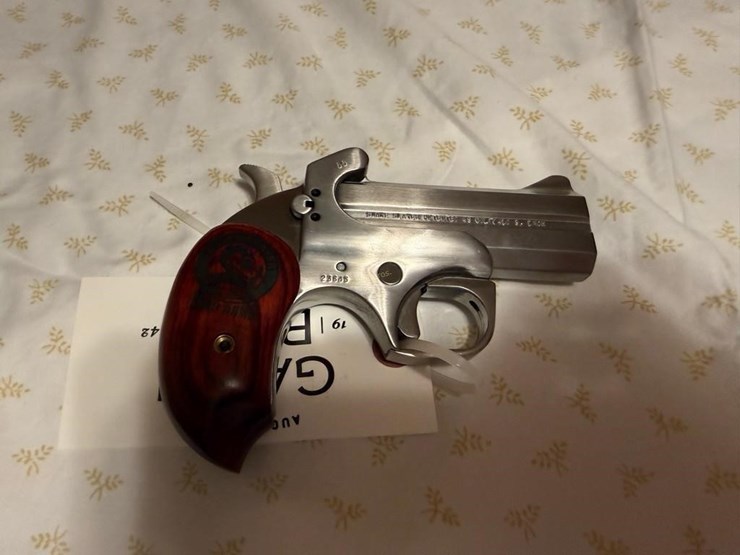 bond-arms-snake-slayer-45-colt/410ga-pistol-image-1
