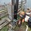 #9581-•-3-point-hydraulic-post-pounder-image-6