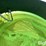 1500-gal-poly-water-tank-image-11