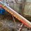 westfield-10'-transfer-auger-image-7