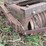#9564-•-brillion-cultipacker-seeder-image-15