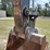 2019-deere-210g-image-9