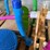 #42072-•-unused-splash-pads-image-16