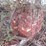 #9584-•-antique-bricks-image-5