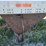 great-dane-trailer-image-6