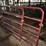 #9606-•-(2)-bull-gates-image-2
