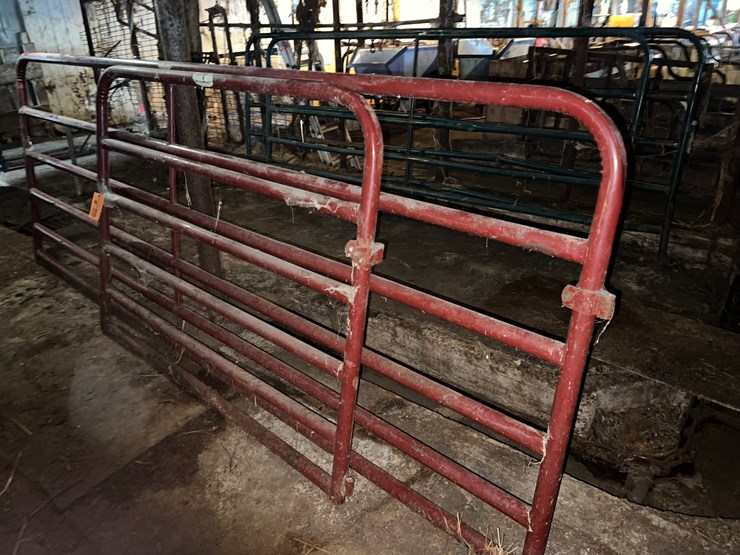 #9606-•-(2)-bull-gates-image-2