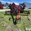 2016-case-ih-2016-image-2
