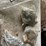 #9646-•-large-assortment-of-bolts,-nuts,-and-washers-image-6