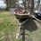 landau-pro18-hin-lb091471b898-with-bear-trailer-vin-41ybb2014w1003263-image-3