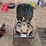 bird-house-&-chair-image-3