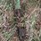 #9575-•-16'-hay-wagon-on-john-deere-running-gear-image-5