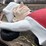 #9000-•-happy-chef-statue-(elk-river,-mn)-image-8