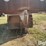 1986-s-&-s-t/a-livestock-trailer-image-12