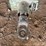 brent-1282-image-24