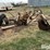 digz-all-800-pull-type-backhoe-image-3