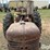 1953-farmall-super-h-2wd-tractor-image-13