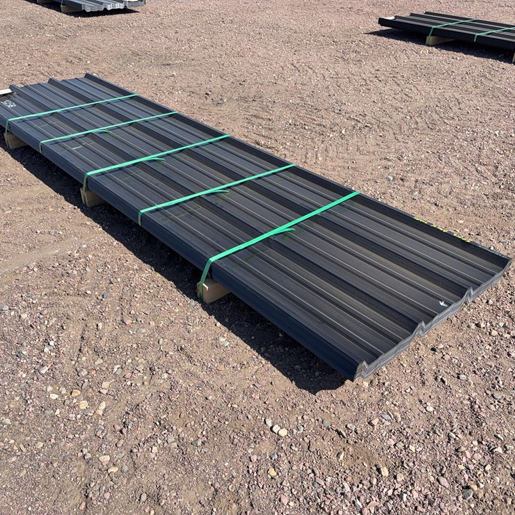 Painted R-Panel