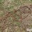 tractor-chains-image-11