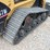 caterpillar-247b-image-6
