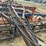 chisel-stalk-chopper-image-11