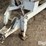 piester-dry-fertilizer-spreader-image-10