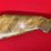 new-haven-model-283ta-.410-gauge-bolt-action-shotgun-image-7