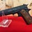 chiappa-firearms-model-1911-22-semi-auto-pistol-.22-lr-image-2