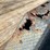#2211-•-2012-moritz-tglb-equipment-tilt-trailer-image-18