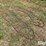 tractor-chains-image-3
