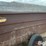 kelly-ryan-feed-wagon-image-18