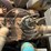 #1350-•-white-ma-50-lpg-forklift-image-29