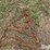 tractor-chains-image-17