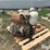 deutz-2-cyl-diesel-engine-image-2