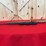 savage-arms-model-93r17-bolt-action-rifle-.17-hmr-image-5