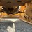 caterpillar-d4-image-27