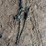 #48-•-log-chain-image-1