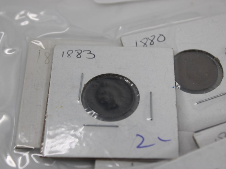 #36046-•-(11)-late-1800's-indian-head-pennies-image-3