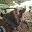1995-case-ih-1015-image-7