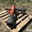 berkeley-b3zrm-cw-water-pump-image-4