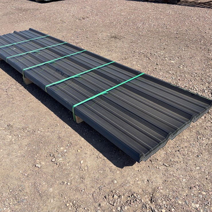 Painted R-Panel