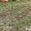 tractor-chains-image-5