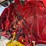 2020-new-holland-roll-belt-560-image-8