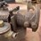 john-deere-51-image-7